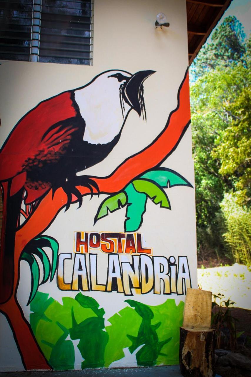 Hostal Calandria Boquete Exterior foto